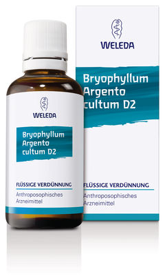 BRYOPHYLLUM ARGENTO cultum D 3 Dilution